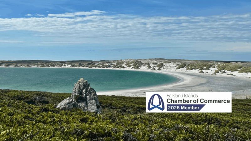 About Falkland Islands