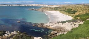 Moore Dixon Team Visits the Falkland Islands: Building Connections Beyond Business