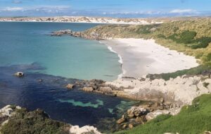Moore Dixon Team Visits the Falkland Islands: Building Connections Beyond Business