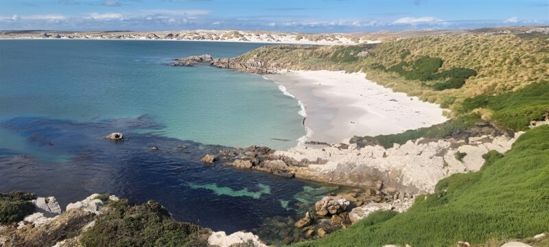 Moore Dixon Team Visits the Falkland Islands: Building Connections Beyond Business