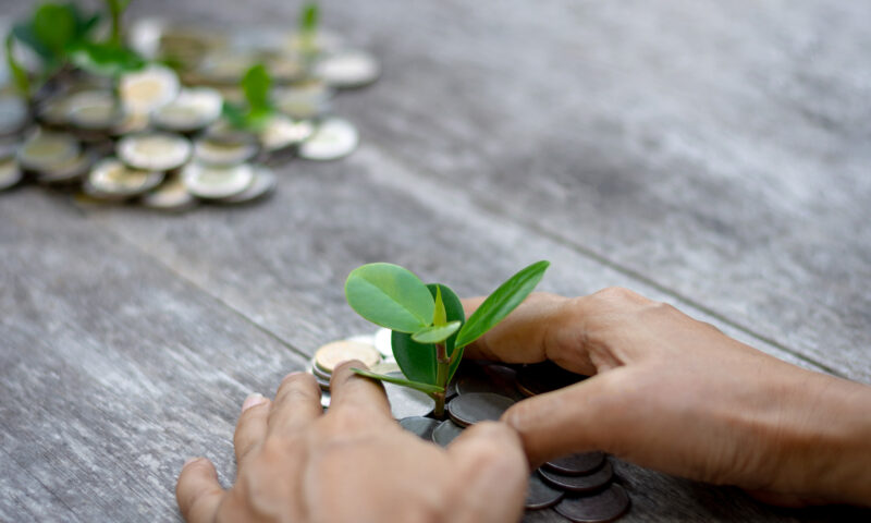 How Much Should I Take Out Of My Pension?